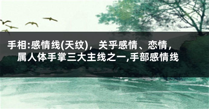 手相:感情线(天纹)，关乎感情、恋情，属人体手掌三大主线之一,手部感情线