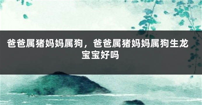 爸爸属猪妈妈属狗，爸爸属猪妈妈属狗生龙宝宝好吗