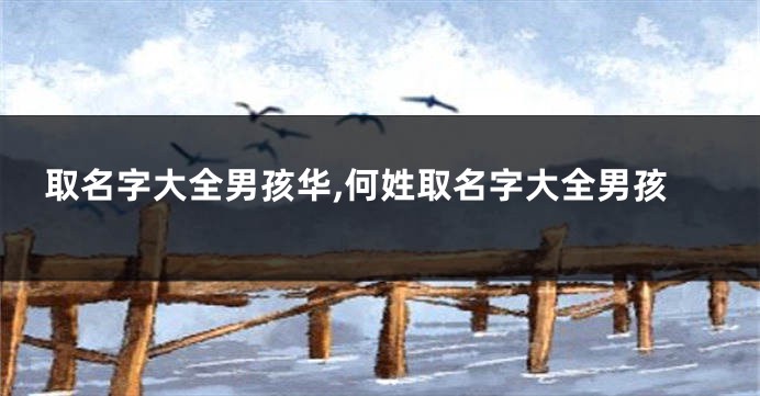 取名字大全男孩华,何姓取名字大全男孩