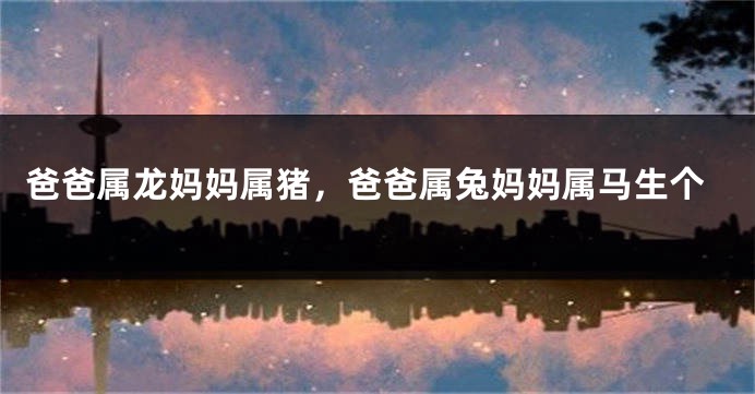 爸爸属龙妈妈属猪，爸爸属兔妈妈属马生个