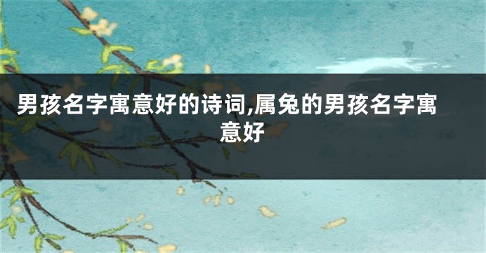 男孩名字寓意好的诗词,属兔的男孩名字寓意好