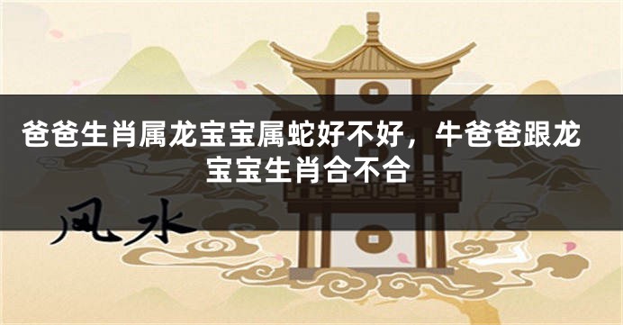 爸爸生肖属龙宝宝属蛇好不好，牛爸爸跟龙宝宝生肖合不合