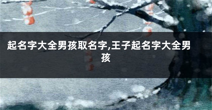 起名字大全男孩取名字,王子起名字大全男孩