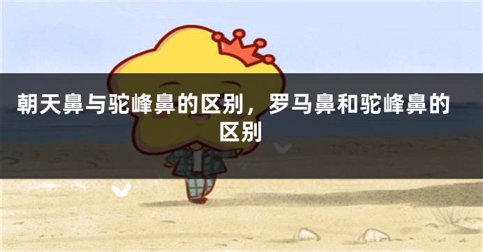 朝天鼻与驼峰鼻的区别，罗马鼻和驼峰鼻的区别