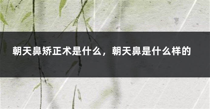 朝天鼻矫正术是什么，朝天鼻是什么样的