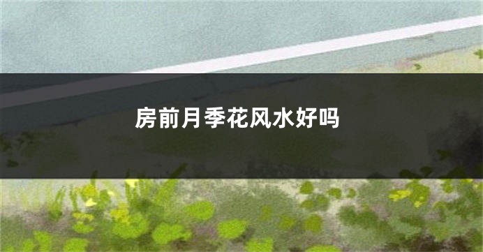 房前月季花风水好吗