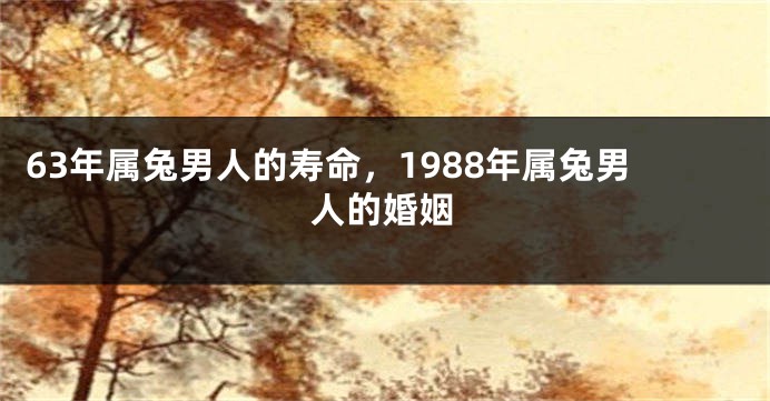 63年属兔男人的寿命，1988年属兔男人的婚姻
