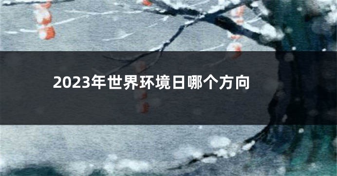 2023年世界环境日哪个方向