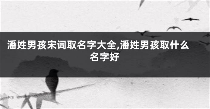潘姓男孩宋词取名字大全,潘姓男孩取什么名字好