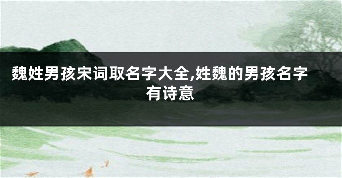 魏姓男孩宋词取名字大全,姓魏的男孩名字有诗意