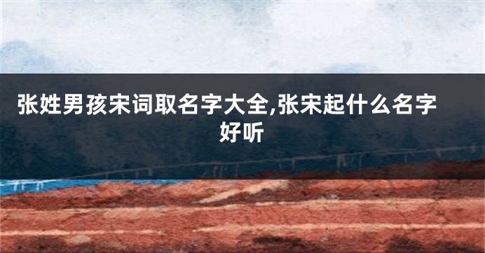 张姓男孩宋词取名字大全,张宋起什么名字好听