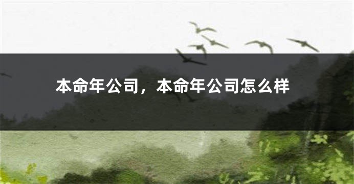 本命年公司，本命年公司怎么样