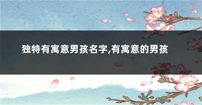 独特有寓意男孩名字,有寓意的男孩