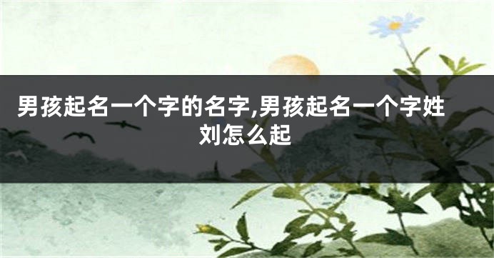 男孩起名一个字的名字,男孩起名一个字姓刘怎么起
