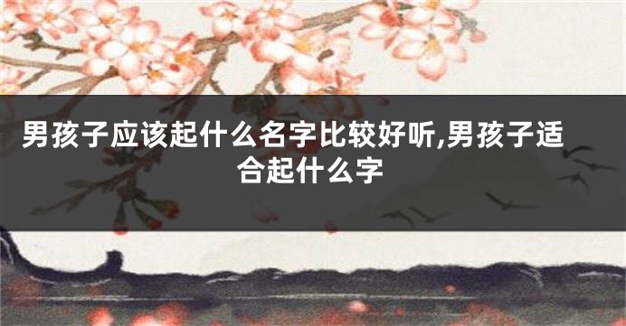 男孩子应该起什么名字比较好听,男孩子适合起什么字