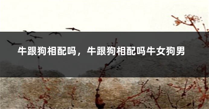牛跟狗相配吗，牛跟狗相配吗牛女狗男