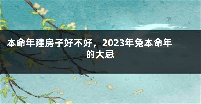 本命年建房子好不好，2023年兔本命年的大忌