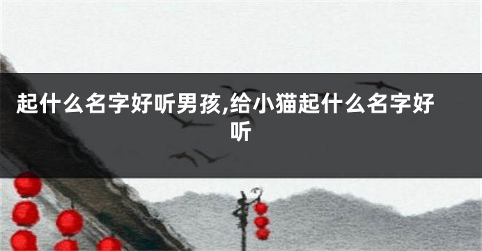起什么名字好听男孩,给小猫起什么名字好听