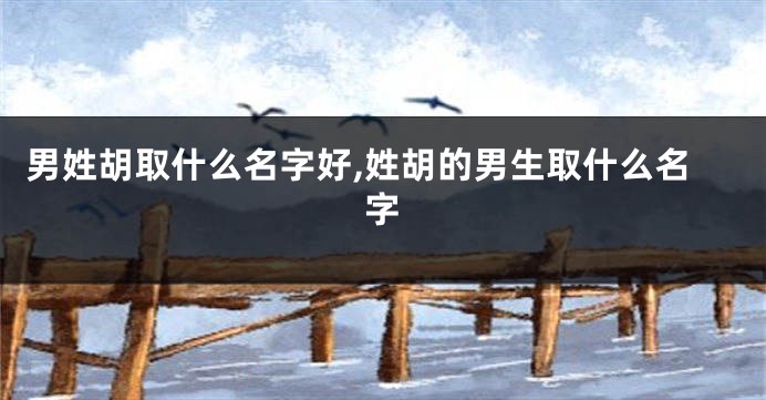 男姓胡取什么名字好,姓胡的男生取什么名字