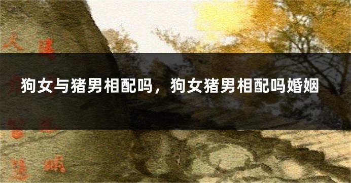 狗女与猪男相配吗，狗女猪男相配吗婚姻