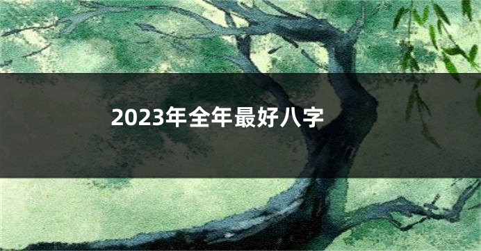 2023年全年最好八字