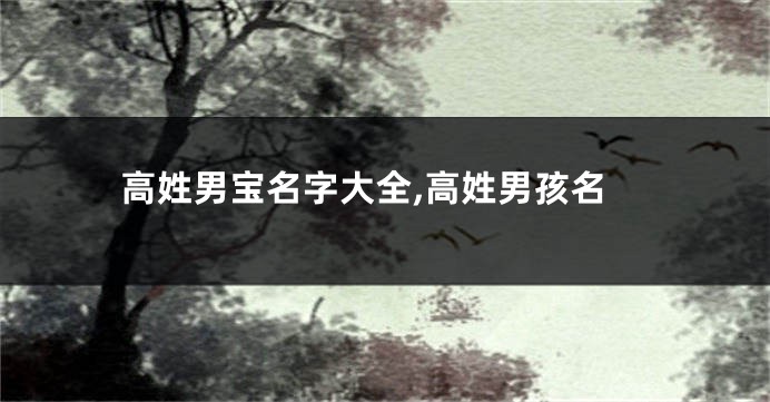 高姓男宝名字大全,高姓男孩名