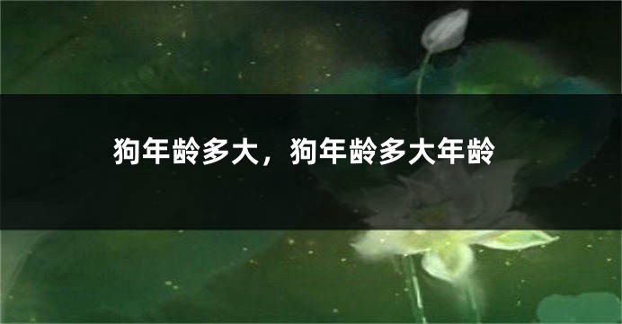狗年龄多大，狗年龄多大年龄