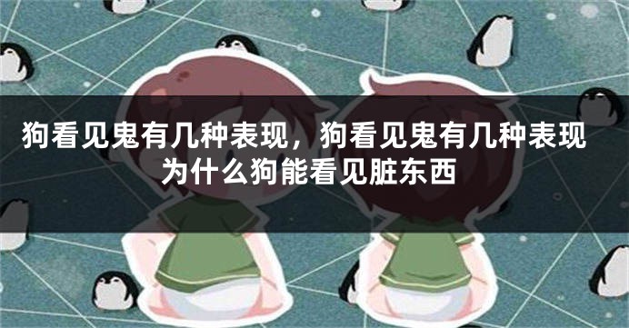 狗看见鬼有几种表现，狗看见鬼有几种表现为什么狗能看见脏东西