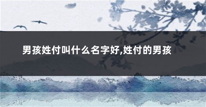 男孩姓付叫什么名字好,姓付的男孩