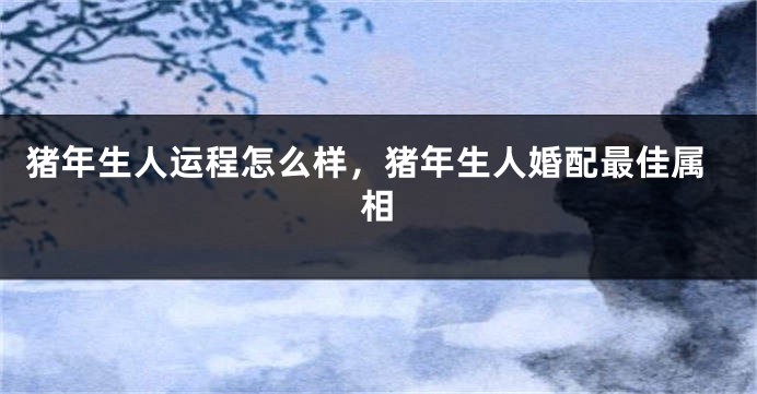 猪年生人运程怎么样，猪年生人婚配最佳属相