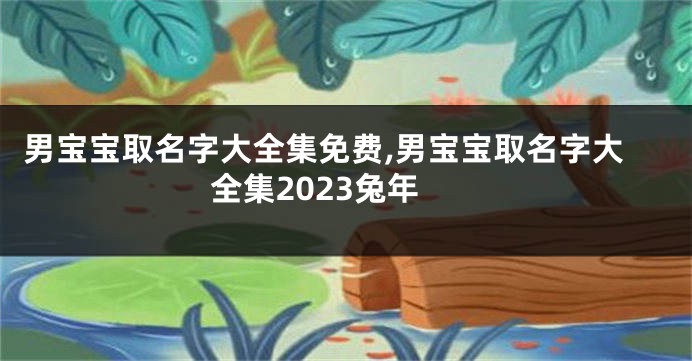 男宝宝取名字大全集免费,男宝宝取名字大全集2023兔年