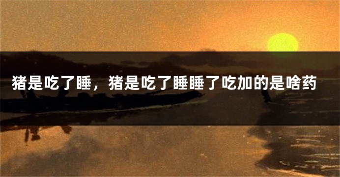猪是吃了睡，猪是吃了睡睡了吃加的是啥药
