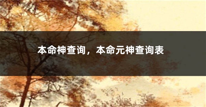 本命神查询，本命元神查询表
