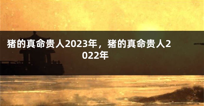 猪的真命贵人2023年，猪的真命贵人2022年