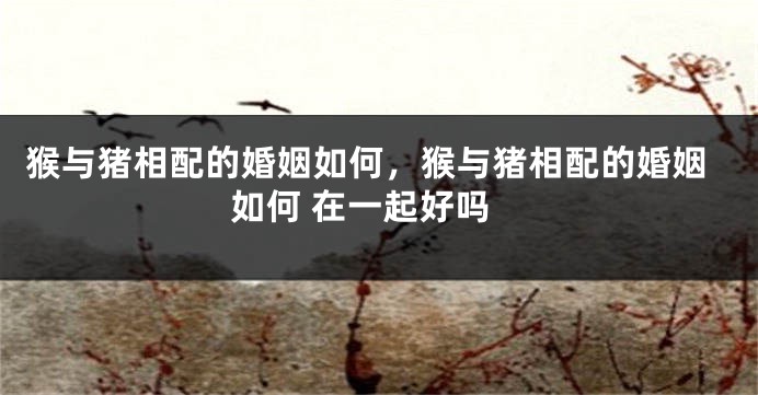 猴与猪相配的婚姻如何，猴与猪相配的婚姻如何 在一起好吗