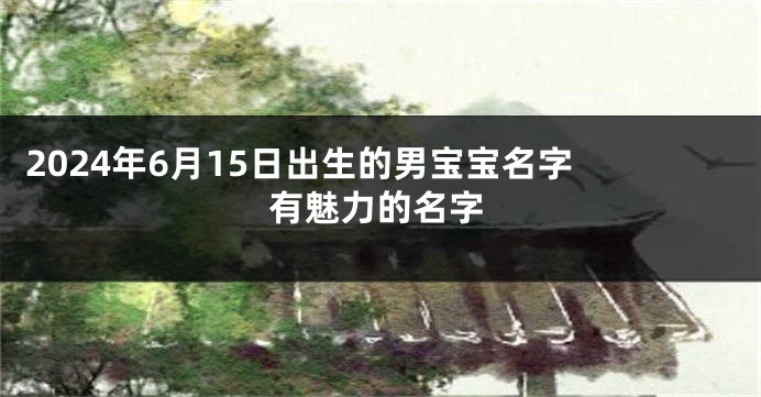 2024年6月15日出生的男宝宝名字 有魅力的名字