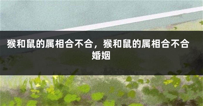 猴和鼠的属相合不合，猴和鼠的属相合不合婚姻