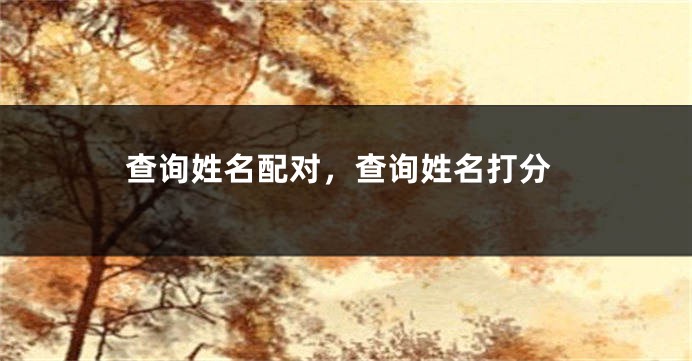 查询姓名配对，查询姓名打分