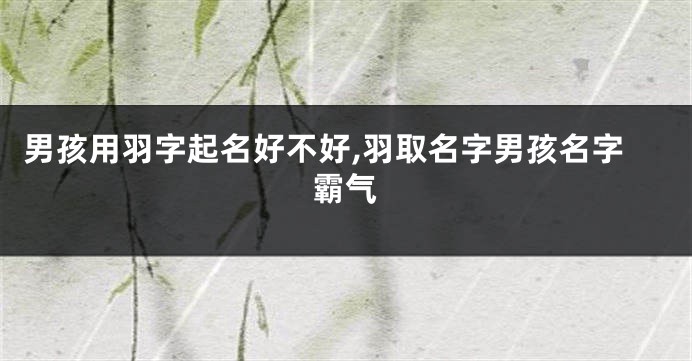 男孩用羽字起名好不好,羽取名字男孩名字霸气
