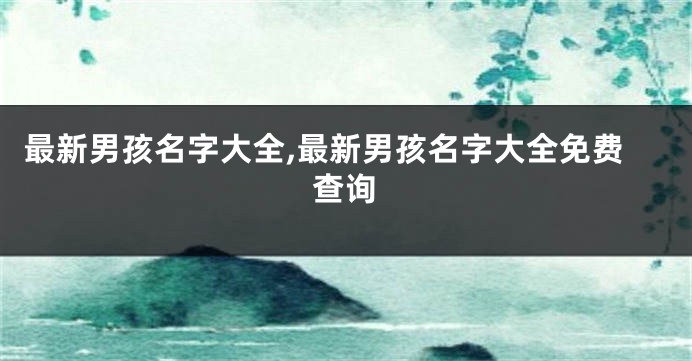 最新男孩名字大全,最新男孩名字大全免费查询