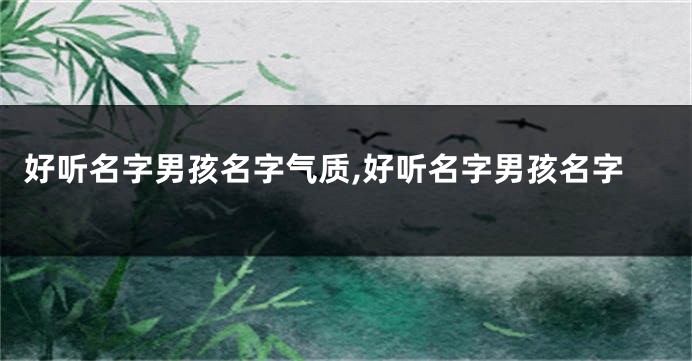 好听名字男孩名字气质,好听名字男孩名字