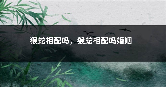 猴蛇相配吗，猴蛇相配吗婚姻