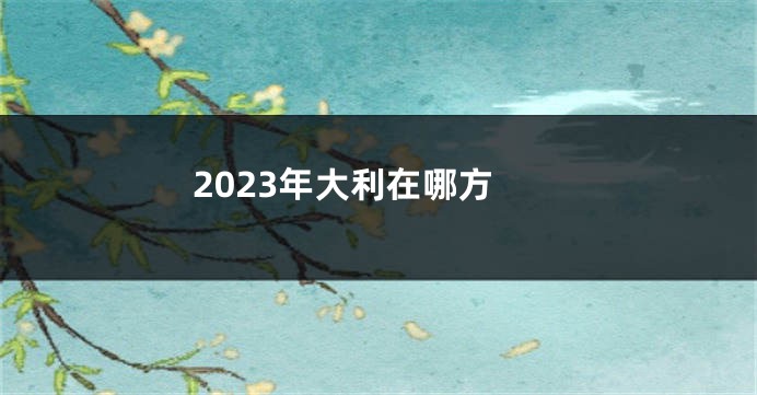 2023年大利在哪方