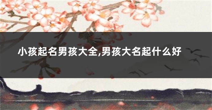 小孩起名男孩大全,男孩大名起什么好