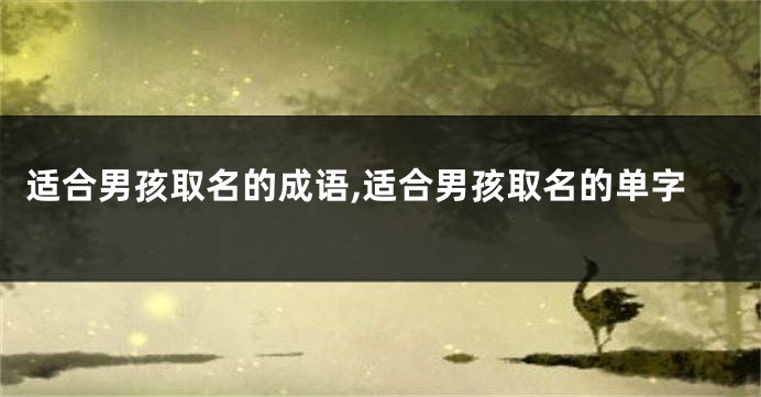 适合男孩取名的成语,适合男孩取名的单字