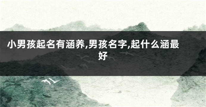 小男孩起名有涵养,男孩名字,起什么涵最好