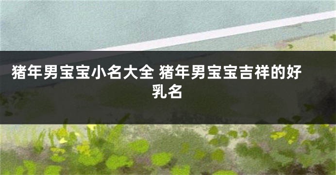 猪年男宝宝小名大全 猪年男宝宝吉祥的好乳名