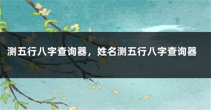 测五行八字查询器，姓名测五行八字查询器