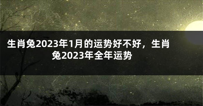 生肖兔2023年1月的运势好不好，生肖兔2023年全年运势