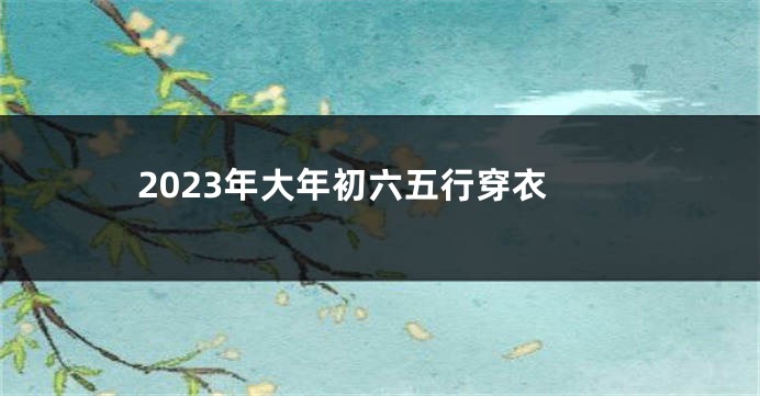 2023年大年初六五行穿衣
